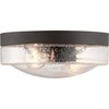 Progress Lighting Weldon Collection Two-Light Flush Mount P550042-129